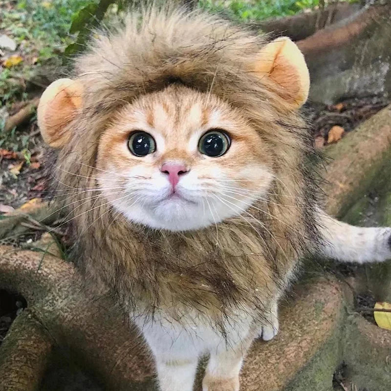 Cute Lion Mane Cat Wig Hat Pet Hat for Dogs Cats Kitten Cap 2026 Halloween Party Cosplay Costume Cat Accessories Photo Props