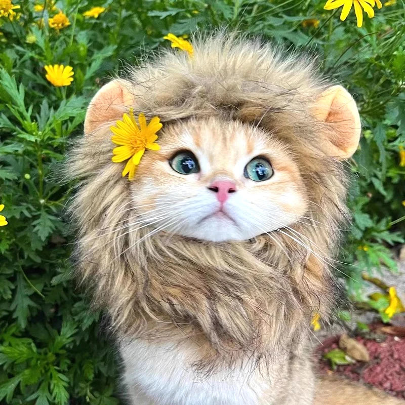 Cute Lion Mane Cat Wig Hat Pet Hat for Dogs Cats Kitten Cap 2026 Halloween Party Cosplay Costume Cat Accessories Photo Props