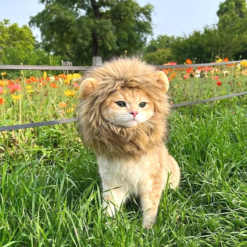 Cute Lion Mane Cat Wig Hat Pet Hat for Dogs Cats Kitten Cap 2026 Halloween Party Cosplay Costume Cat Accessories Photo Props