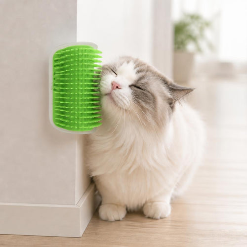 Gato frotando la mejilla contra el cepillo masajeador verde montado en la esquina de una pared